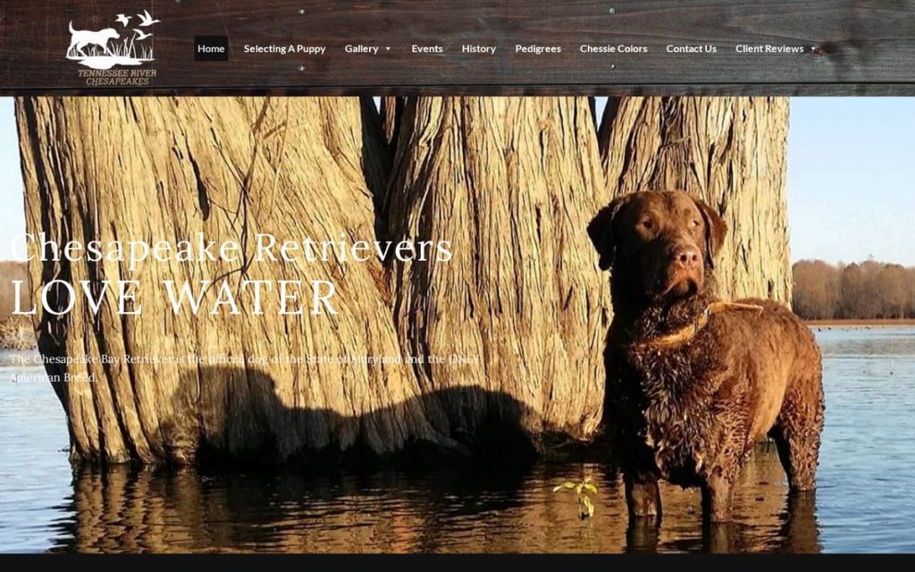 Homepage of tennesseeriverchesapeakes, a website by Studio Blue Creative