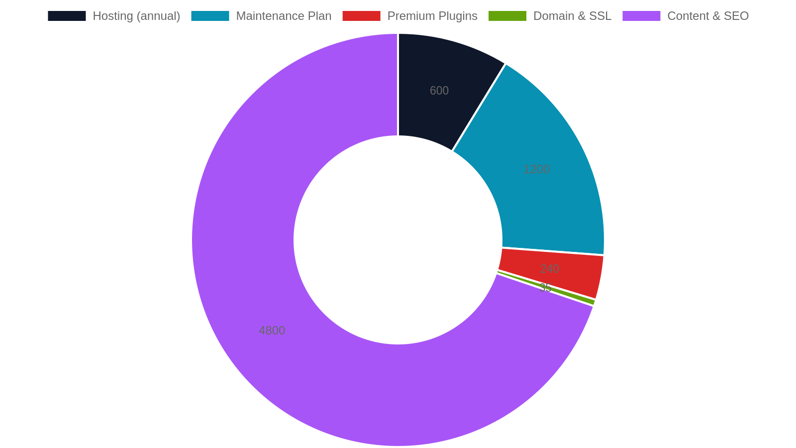 9. Ongoing Costs After Launch: What to Budget for Year 1